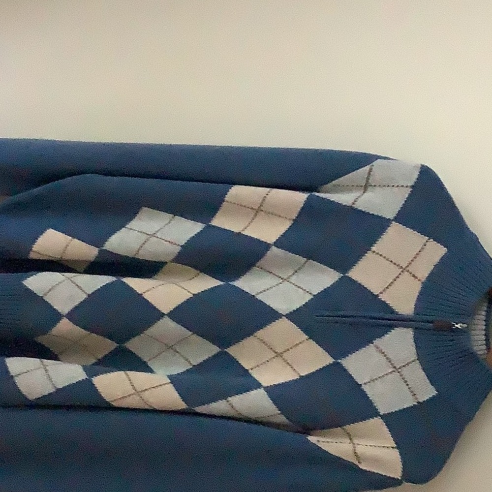Size Large Italian cashmere sweater.